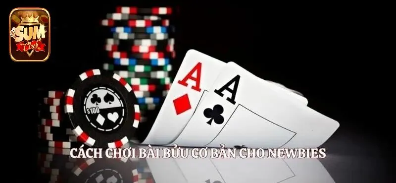 Cách chơi Bài Bửu SUMCLUB cơ bản cho newbies
